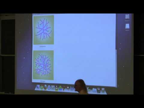 Kevin Ahern's BB 350 (Carbohydrates II) 2014 - #26