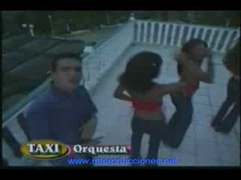 Taxi Orquesta - Gavilan Pollero (Video Oficial)