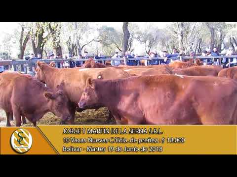 19-06-18 Venta de Vientres - Jorge y Martin de la Serna S.R.L. - Bolivar.
