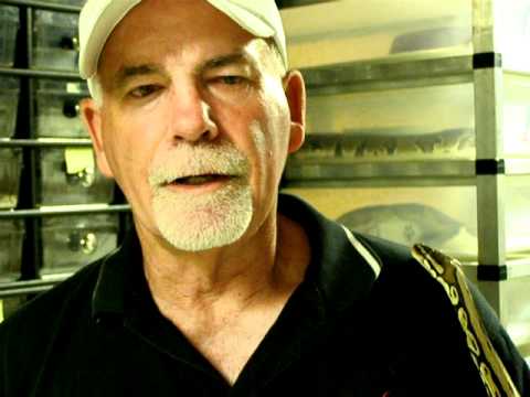 Brian Gundy Talks About Egg Bound Females