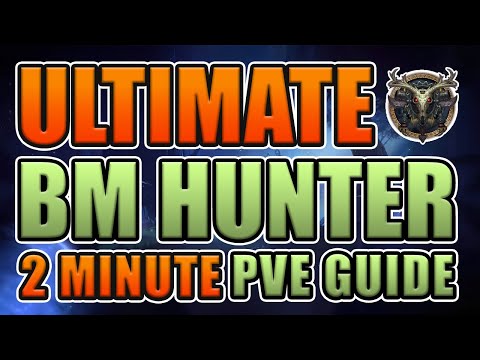 BM HUNTER | SEASON 4 | ULTIMATE 2 MINUTE PVE GUIDE | SHADOWLANDS 9.2.7