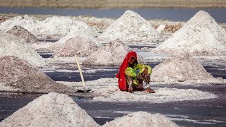preview picture of video 'Jaipur | Sambhar Salt Lake | Rajasthan 2019 | Honda City | Soda Water Lake | India Travel | Sambha'