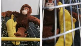 We like the zoo-Walter Martin,Matt Berninger