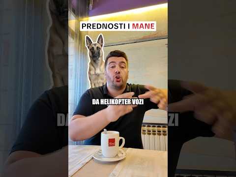 Prednosti i mane #superdog #dresurapasa #nepostojilospas #vlasniksimozessve