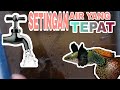 Cara Merawat Air Agar Tetap Bagus Umtuk Budidaya Ikan Guppy
