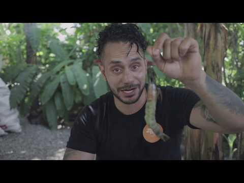 Stuffed Kaukau with Ginger, Aupa and Prawns