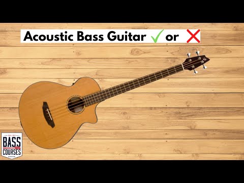 Acoustic Bass Guitar: What Does It Sound Like & When Would You Use One?