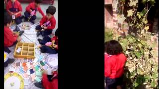 New Era Senior Secondary School Video