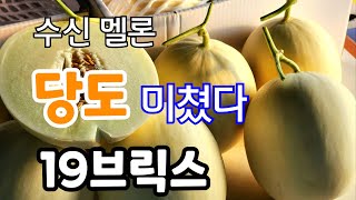 멜론 맛이 미쳤다! 꼭 드셔 보세요 진짜 