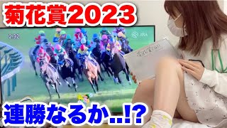 【菊花賞2023】買い目公開‼︎ 秋華賞に続き､連勝なるか..!?