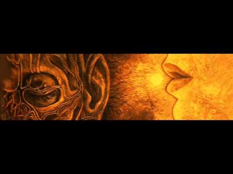 MAL HABIDO VULCANO FEAT LOKO CUERDO