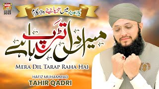 Hafiz Tahir Qadri  Mera Dil Tarap Raha Hai  New He