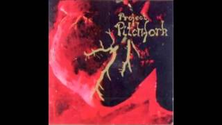 Project Pitchfork   Caught In The Abattoir