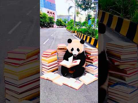 Dog Elephant Panda Padai Kyu Kar RHa Hai😳😅| Sparsh Arora | #treding #shorts #ytshorts