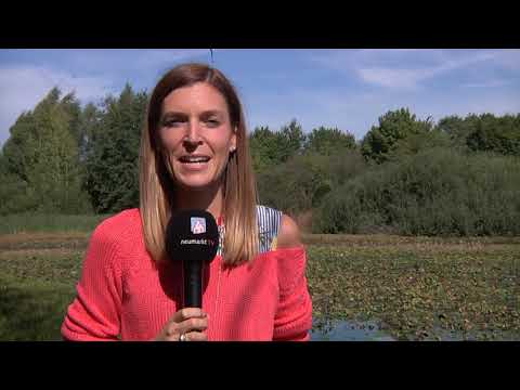 Marktplatz Neumarkt 12.09.2018