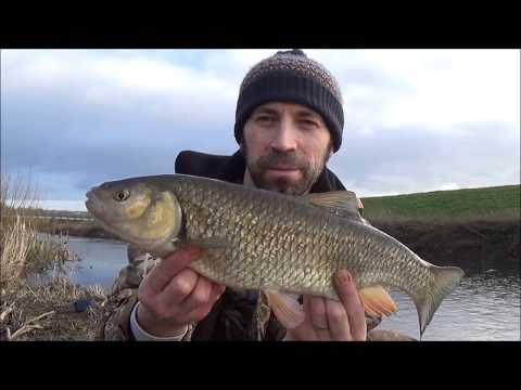 Winter Trotting for Chub , Jan 2018