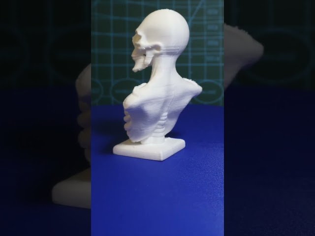 Vídeo relacionado con Boland 73081 - Decoración Calavera Esqueleto, 20 cm, figura de decoración, calavera astronómica, decoración, decoración de halloween, decoración para fiestas