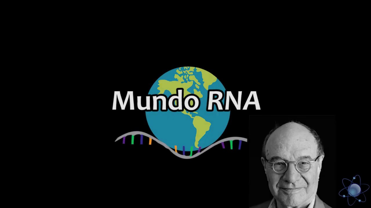 Como surgiu a vida? hipótese do Mundo RNA