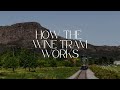 How The Franschhoek Wine Tram Works