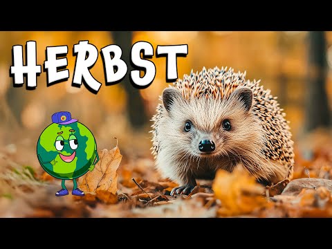 HERBST - Wie sieht das Leben eines Igels aus? 🦔 Ein Lernfilm für Kinder 🦔