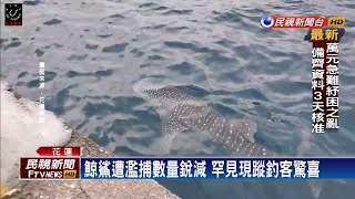 [問卦] 長輩問本肥有妹有吃過豆腐魚？