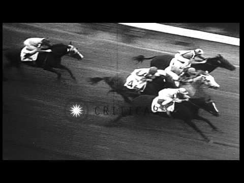 Racehorse Jules Reward wins the Futurity, at the Pimlico Race Course in Baltimore...HD Stock Footage
