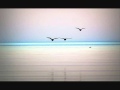 The Autumn Film - Follow the sound 