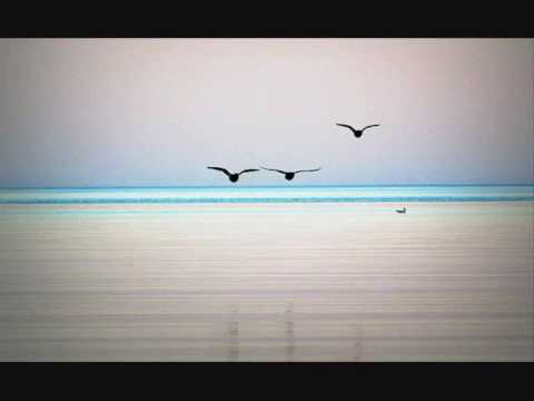 Follow the Sound - The Autumn Film
