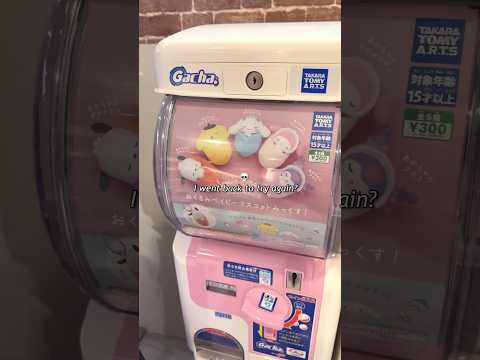 AGAIN I CAME BACK AGAIN 😠 ✨ #sanrio #kuromi #cinnamoroll #mymelody