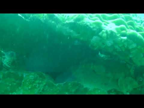 2018 1230 171851 040