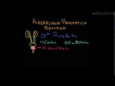 Prostatitis und Rüben Prostata-Biber