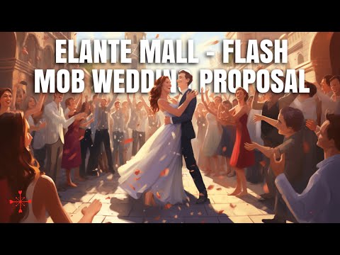 アメージングフラッシュモブの結婚式の提案Elanteモール、チャンディガー、インド (Amazing Flash Mob Wedding Proposal Elante Mall, Chandigarh, India)