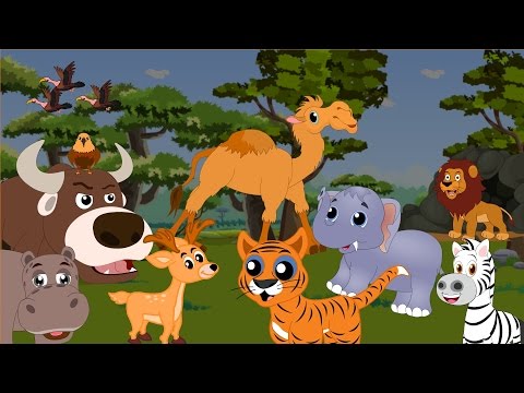 Apprendre les animaux de la savane - Apprendre les animaux sauvages en français