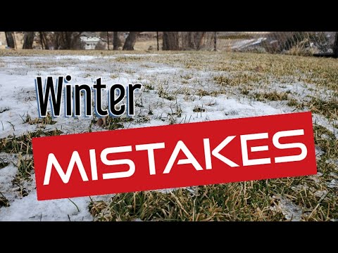 Die größten Fehler bei der Rasenpflege im Winter, die jeder macht