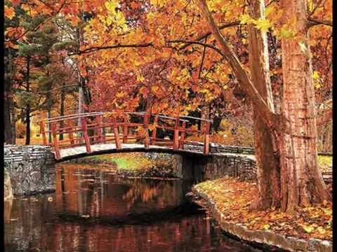 ERNESTO   CORTAZAR       SECRET     FEELINGS,..........wmv