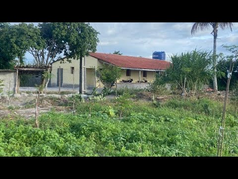 SÍTIO Á VENDA 4.5 HECTARES EM AREIAL PB ZAP  IVANILSON CORRETOR DE IMÓVEIS