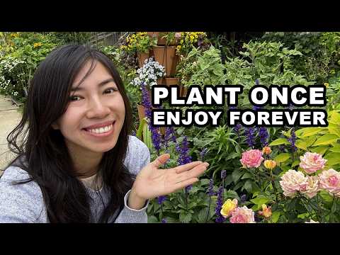 Best Spring Flowers & Herbs To Attract Pollinators