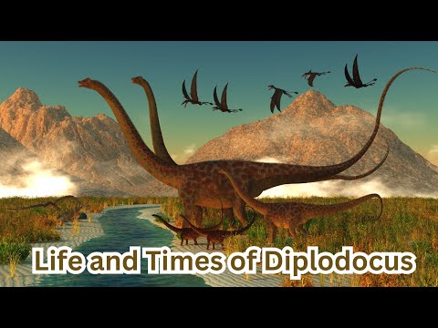 Diplodocus#DinosaurFacts#PrehistoricLife#LongNeckDinosaur#Paleontology#DinosaurDiscovery#FossilFinds