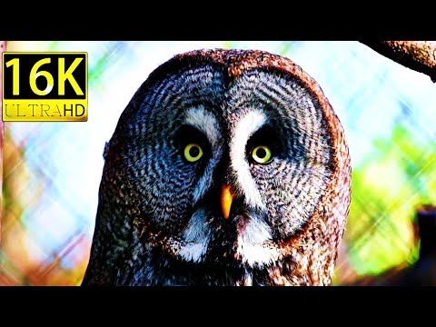 Horizon View in INDIA - Breathtaking Nature bath Relaxing Music - 4k Video HD Ultra