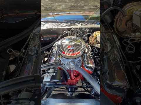 1970 427 Camaro! #camaro #427 #drivewayfinds #chevy #musclecar #chevrolet #4speed #bigblock #oldcar