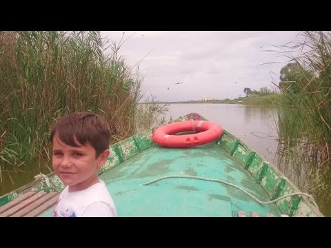 Boating children by ALBUFERA Valencia and RICE