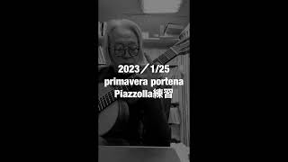 Download lagu Piazzolla ブエノス・アイレス春primavera portena 練習 mp3