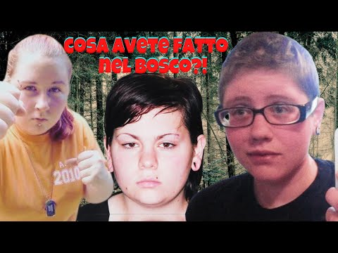 COS'È SUCCESSO IN QUEL BOSCO?!