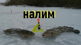 Рыбалка в ишиме и ишимском районе