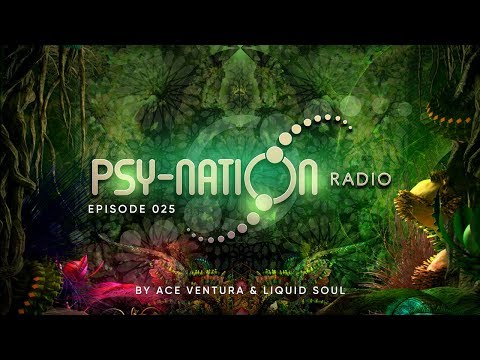Psy-Nation Radio #025 - incl. Progressive Nation Mix [Liquid Soul & Ace Ventura]