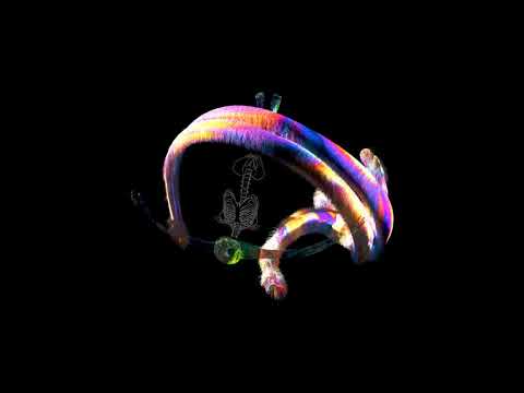 01. Schism - Venom Aura