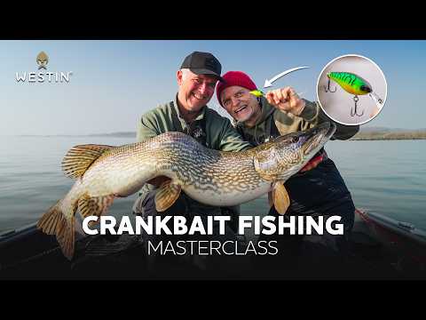 Wobler Westin Id-crank 1.5 4.8cm 8.5g Floating Matt Shad film wideo