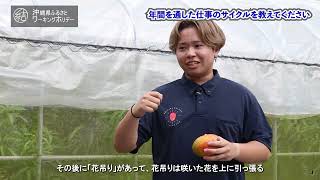 【事業者紹介】沖縄ゴールデンマンゴーファーム【東村】