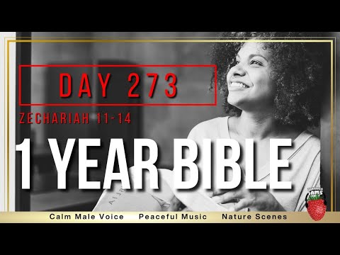 Day 273 | Zechariah Chapters 11-14 | NIV | One Year Bible