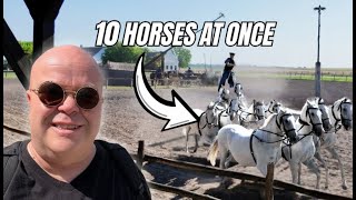 I Watched a Man Ride 10 Horses at Once in Hungary on a Danube River Cruise